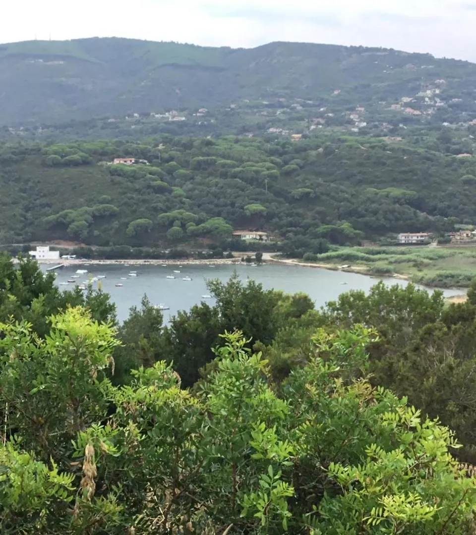 Residence Les Oliviers Porto Azzurro 3*,