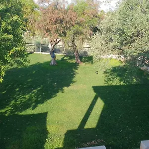 Teodora House Italia