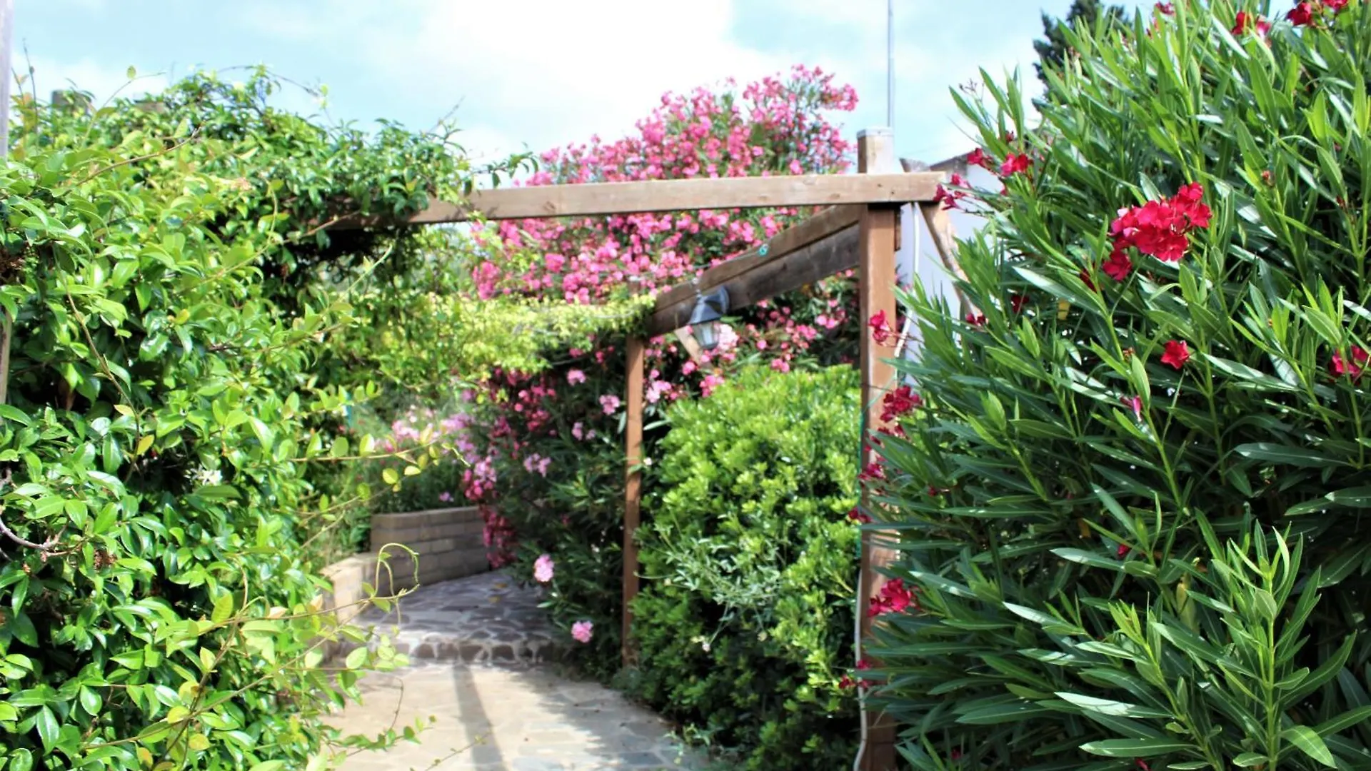 Residence Les Oliviers Porto Azzurro