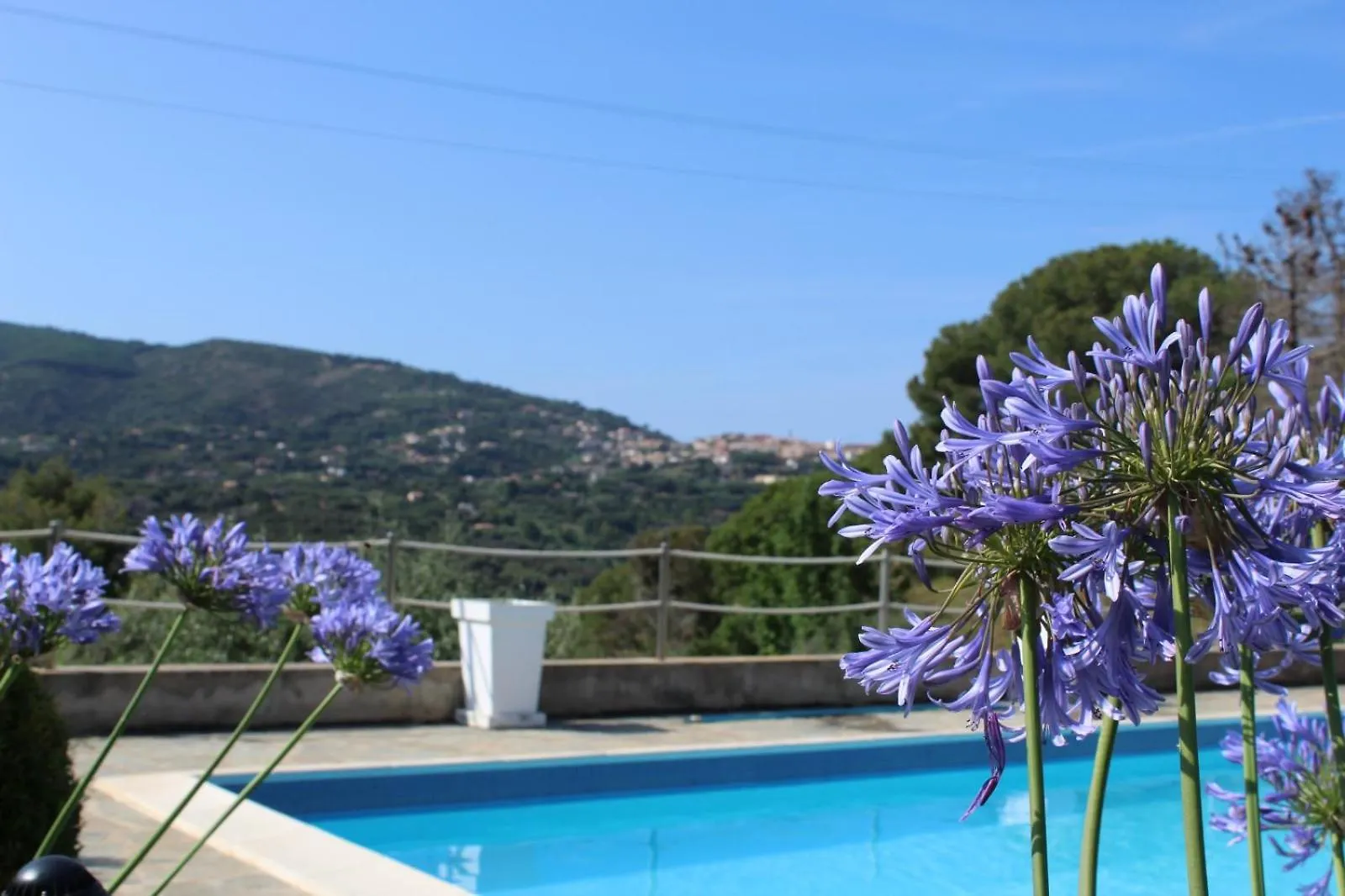 Residence Les Oliviers Porto Azzurro